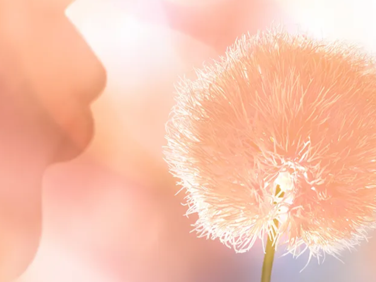 PANTONE 2024: Peach Fuzz, el color del cuidado personal