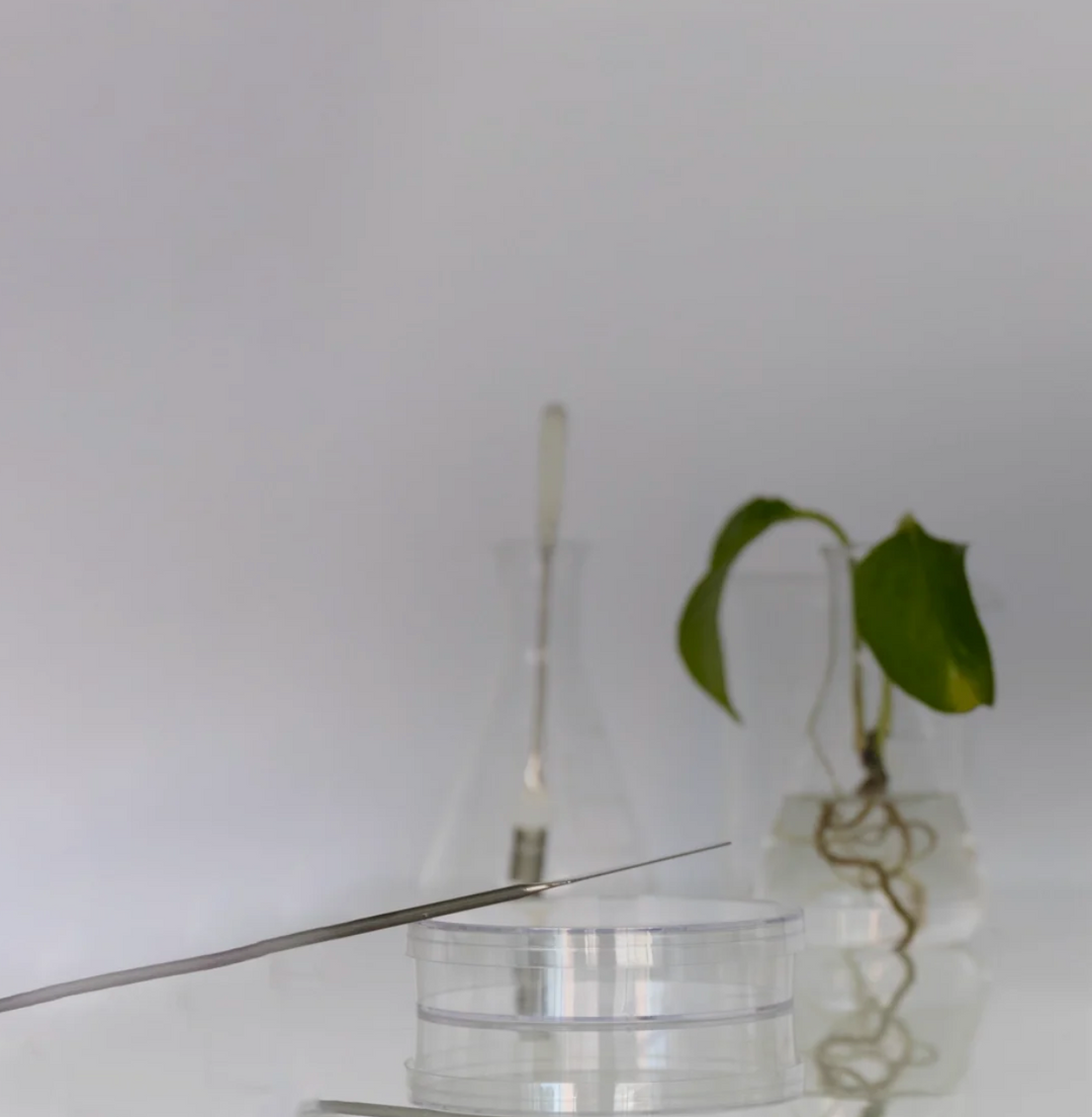 Cosmética de culto: La selección premium de Pure Niche Lab