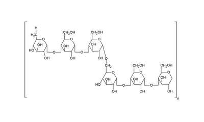 Pullulan, el activo fermentado tensor inmediato que no dejarás de amar