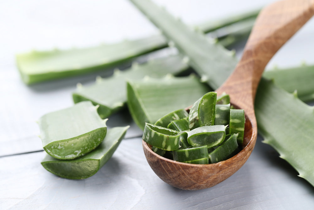 El aloe vera es uno de los ingredientes clave en cosmética por su poder antiinflamatorio, cicatrizante, hidratante y antioxidante