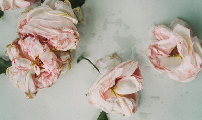 La flor eterna: hay muchas razones para elegir la Rosa como activo cosmético