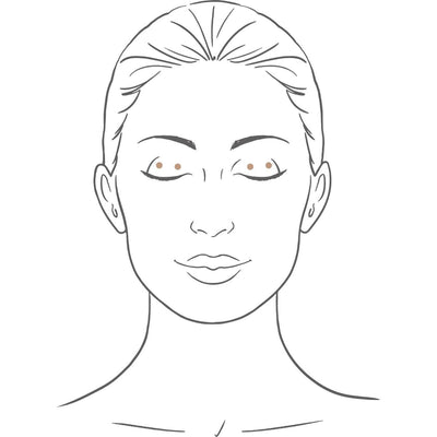 No Makeup Eyeshadow Shade 1 - Perricone MD - Pure Niche Lab