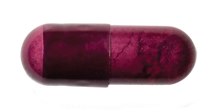 Skin Antioxidant - Advanced Nutrition Programme - Pure Niche Lab