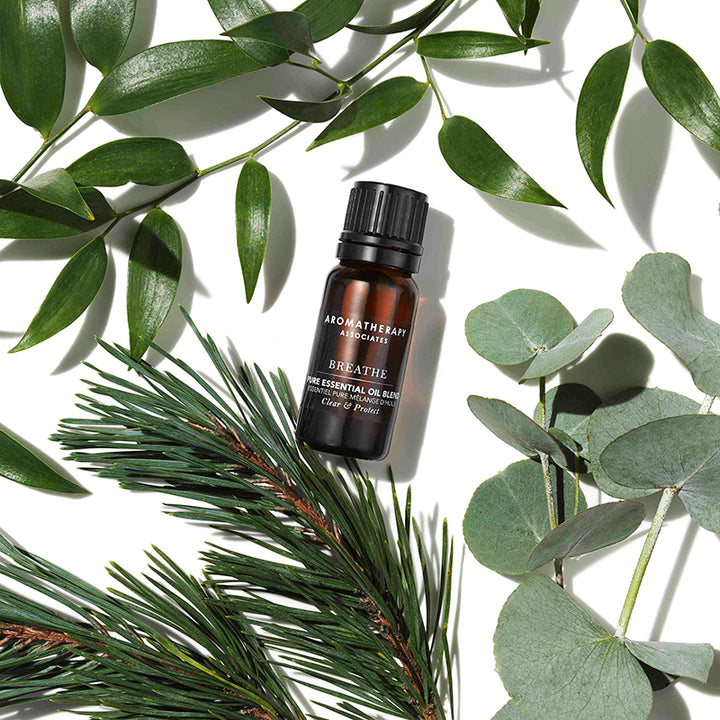 Breathe Pure Essential Oil Blend - Aromatherapy Associates - Pure Niche Lab