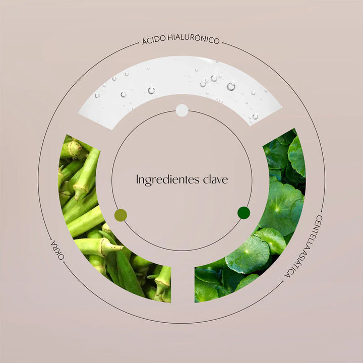 Ingredientes clave suero Byoode Hyaluronic &amp; Okra Allegory