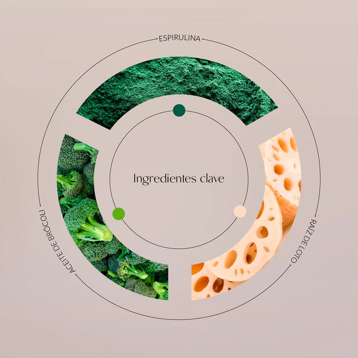 Ingredientes clave crema hidratante Byoode Lotus &amp; Spirulina Romance