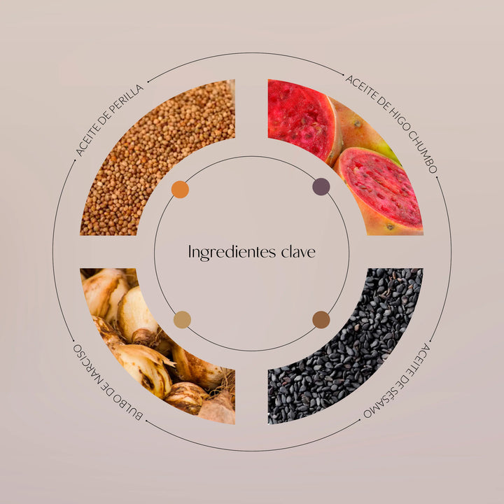 Ingredientes clave Balsamo limpiador Byoode Metamorphosis of Narcissus